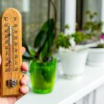 cieply-i-pochmurny-12-wrzesnia-w-lodzi-sprawdz-co-przyniesie-pogoda