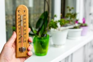 cieply-i-pochmurny-12-wrzesnia-w-lodzi-sprawdz-co-przyniesie-pogoda