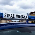 czym-s---wraki--przewodnik-po-usuwaniu-porzuconych-auto-6884