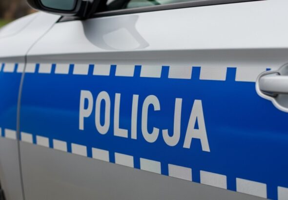 kolejne-narkotyki-zabezpieczone-przez-wydzia---do--auto-6095