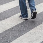 uwaga--dzikie-zwierz--ta-na-drogach-auto-6001