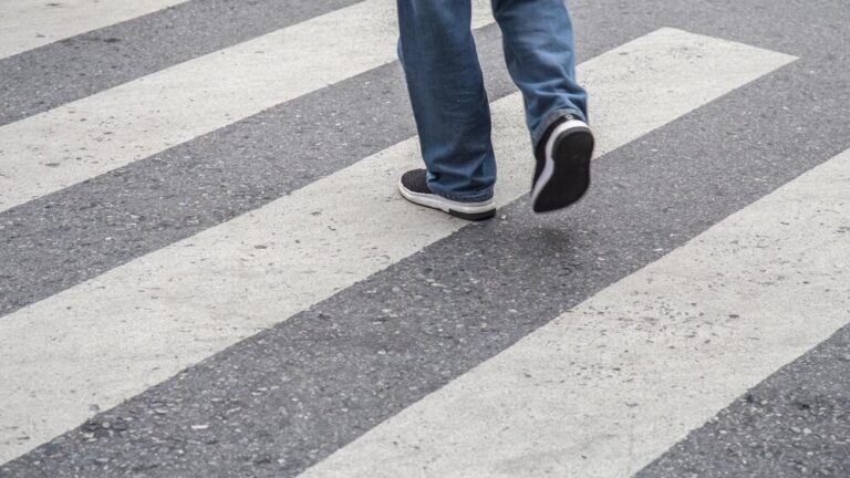 uwaga--dzikie-zwierz--ta-na-drogach-auto-6001