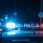 zatrzymanie-sprawc--w-kradzie--y-i-zniszczenia-apt-auto-493