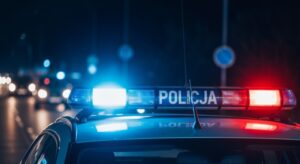 zatrzymanie-sprawc--w-kradzie--y-i-zniszczenia-apt-auto-493