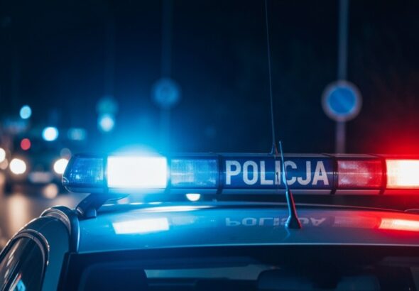 zatrzymanie-sprawc--w-kradzie--y-i-zniszczenia-apt-auto-493