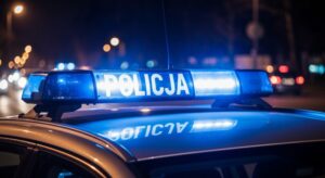 odcinkowe-pomiary-pr--dko--ci-w-----dzkiem--gdzie--auto-1333