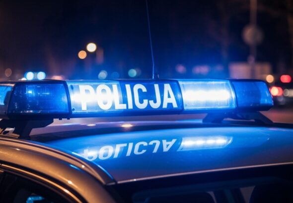 odcinkowe-pomiary-pr--dko--ci-w-----dzkiem--gdzie--auto-1333