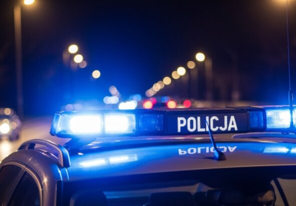 policjanci-zajmuj--cy-si---walk---z-handlem-lud--m-auto-488