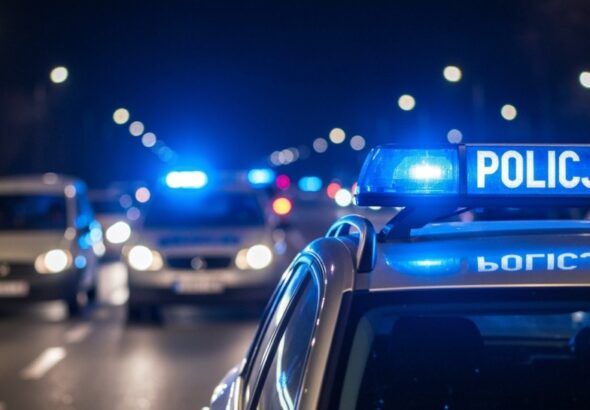 przed--wi--teczne-kontrole-targowisk-auto-445