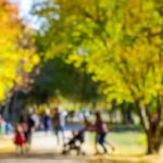 sta---czeka-na-dom-auto-5278