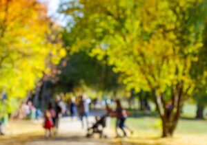 sta---czeka-na-dom-auto-5278