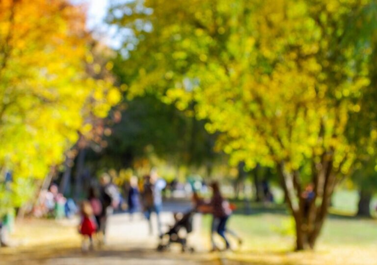 sta---czeka-na-dom-auto-5278