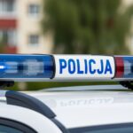 zabra---samoch--d--a-potem-go-rozbi---auto-6066