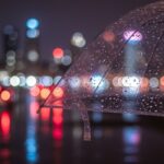 zadbajmy-o-naszych-czworono--nych-przyjaci-----w-m-auto-5132