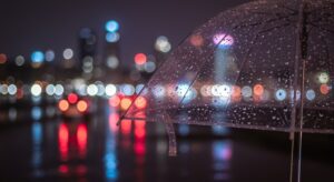 zadbajmy-o-naszych-czworono--nych-przyjaci-----w-m-auto-5132