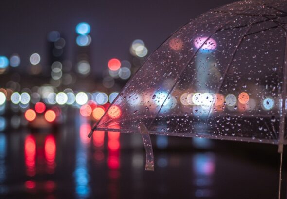 zadbajmy-o-naszych-czworono--nych-przyjaci-----w-m-auto-5132