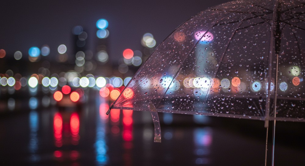 zadbajmy-o-naszych-czworono--nych-przyjaci-----w-m-auto-5132