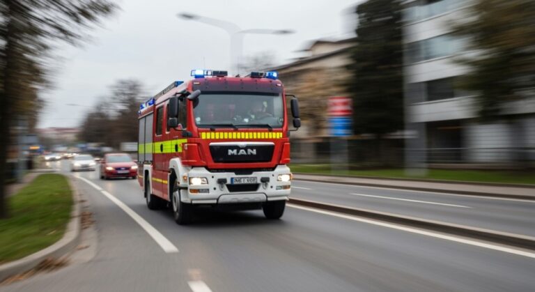 zaostrzenie-kar-za-wypalanie-traw-i-podpalenia-las-auto-1169