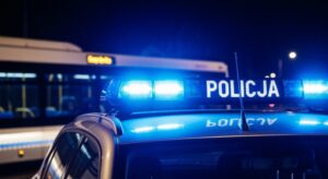 do-10-lat-wiezienia-za-kradzie---alkoholu-auto-467