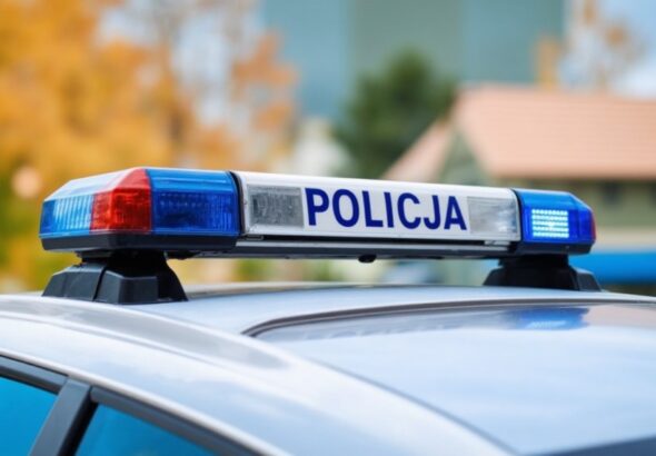 stra--nik-miejski-z---odzi--dlaczego-dzia--a-tylko-auto-6090