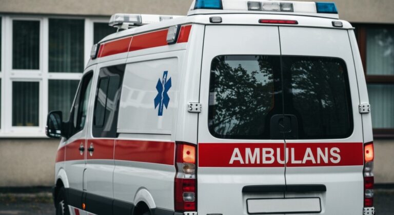 nieborowscy-dzielnicowi-zabezpieczali-znalezisko-z-auto-986