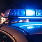 odpowie-za-zn--canie-si---nad-zwierz--tami-auto-326