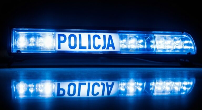 policjant-z-----dzkiej-komendy-na-trasie-vii-p-----auto-339