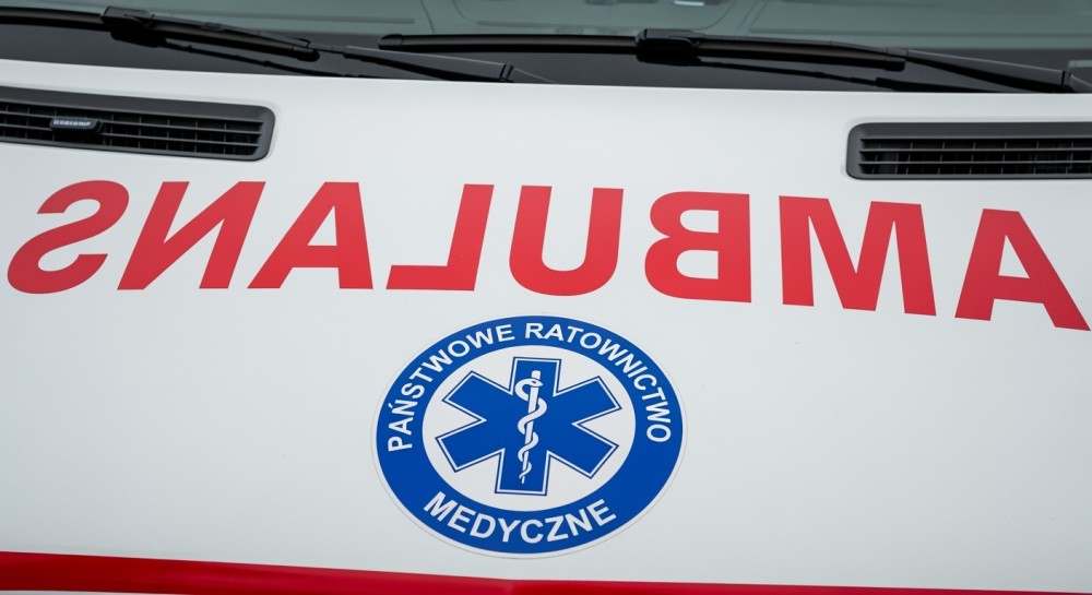 wsp--lne-dzia--ania-policjant--w-i-stra--nik--w-mi-auto-6114