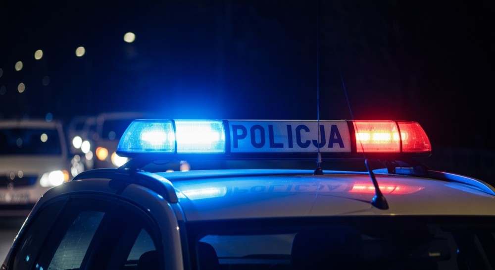 z--odziej-w-r--kach-----dzkich-policjant--w-auto-492