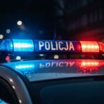 urodzinowa-impreza-zako--czona-noc---w-areszcie-auto-6924