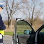 wiosenne-ocieplenie-sprzyja-aktywno--ci-----pami---auto-1434