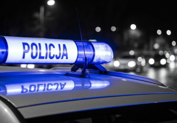 wzmo--one-kontrole-trze--wo--ci-na-drogach-powiatu-auto-1346