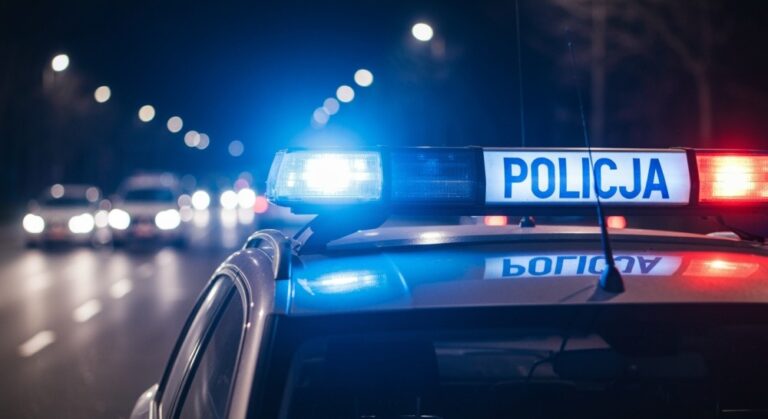 z--odziej----wpad------podczas-demonta--u---upu-auto-480