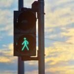 zwierz--ta-na-drodze--policjanci-apeluj---o-ostro--auto-5990