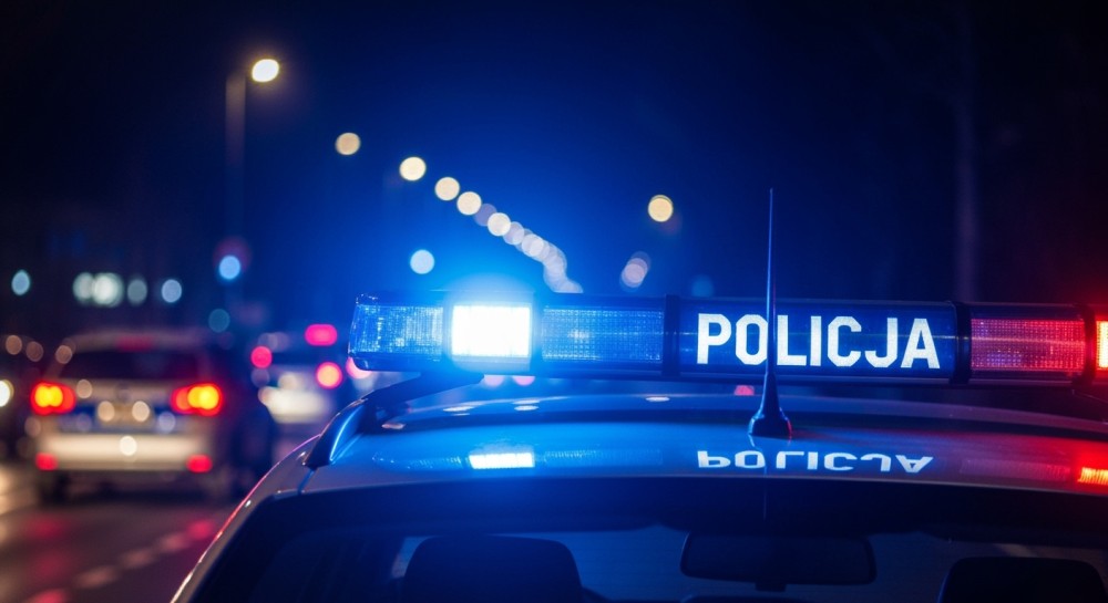 zwyci--zca-licytacji-wo--p-sp--dzi---dzie---w-skie-auto-397