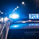 wiosenne-porz--dki-na-dzia--kach-i-ogrodach---pami-auto-480