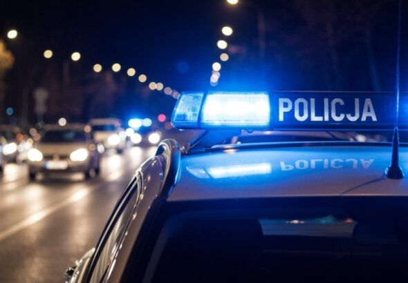 z--odziej-zatrzymany-przez-funkcjonariusza-na-urlo-auto-461