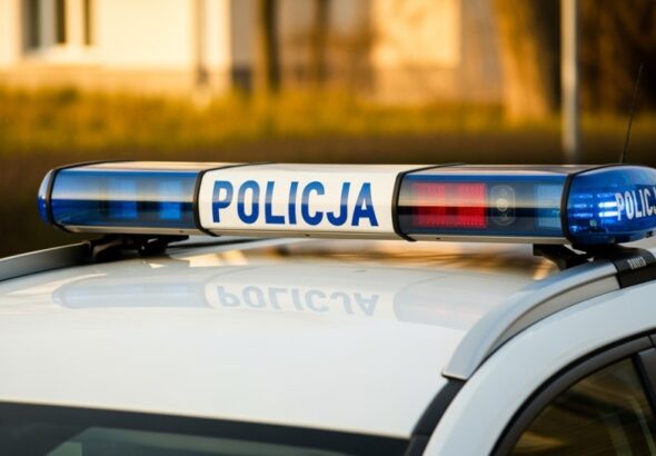 policjanci-pomogli-rannemu-bocianowi-auto-6615