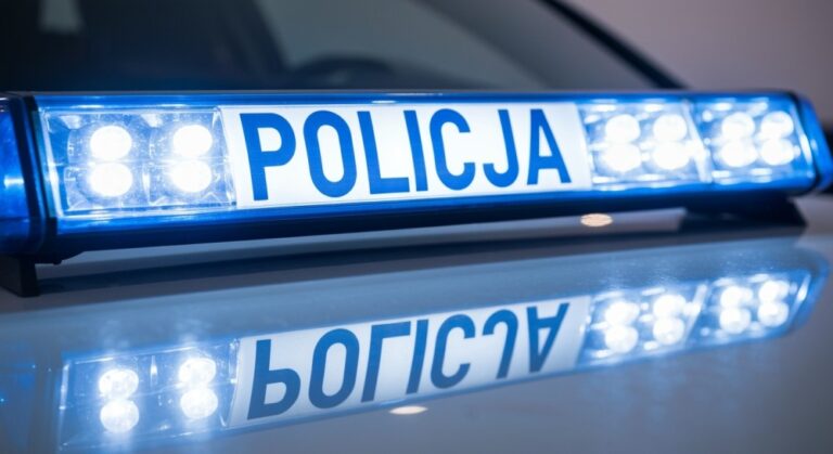 przedszkolaki-odkrywaj---tajniki-pracy-policji-i-u-auto-337