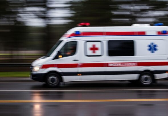 zadbajmy-o-naszych-pupili-w-upalne-dni-auto-835
