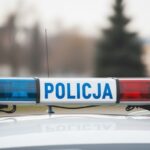 --r--dmiejscy-policjanci-uratowali-piskl---pustu---auto-6592