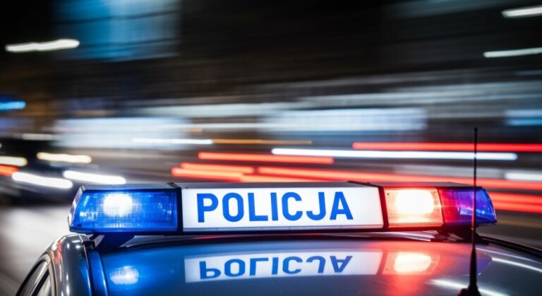 ----czy-wiesz----e-pierwsze-przepisy-reguluj--ce-s-auto-363