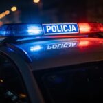 skuteczna-interwencja-stra--y-miejskiej-w---odzi---auto-6953