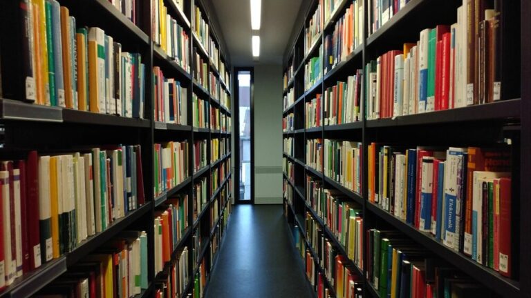 tydzie---w-bibliotece-miejskiej-w---odzi--bryd-----auto-6419