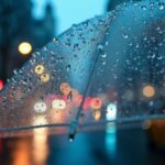 ------instytut-meteorologii-i-gospodarki-wodnej----auto-5117