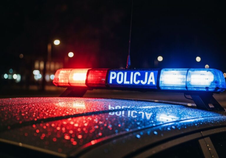rozb--j-w-pabianicach--policjanci-szybko-ustalili--auto-6908