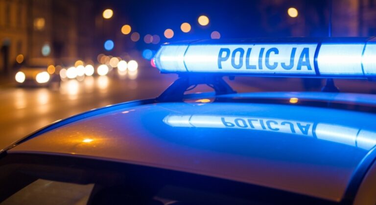niesprawne---wiat--o-zwr--ci--o-uwag---policjant---auto-1337