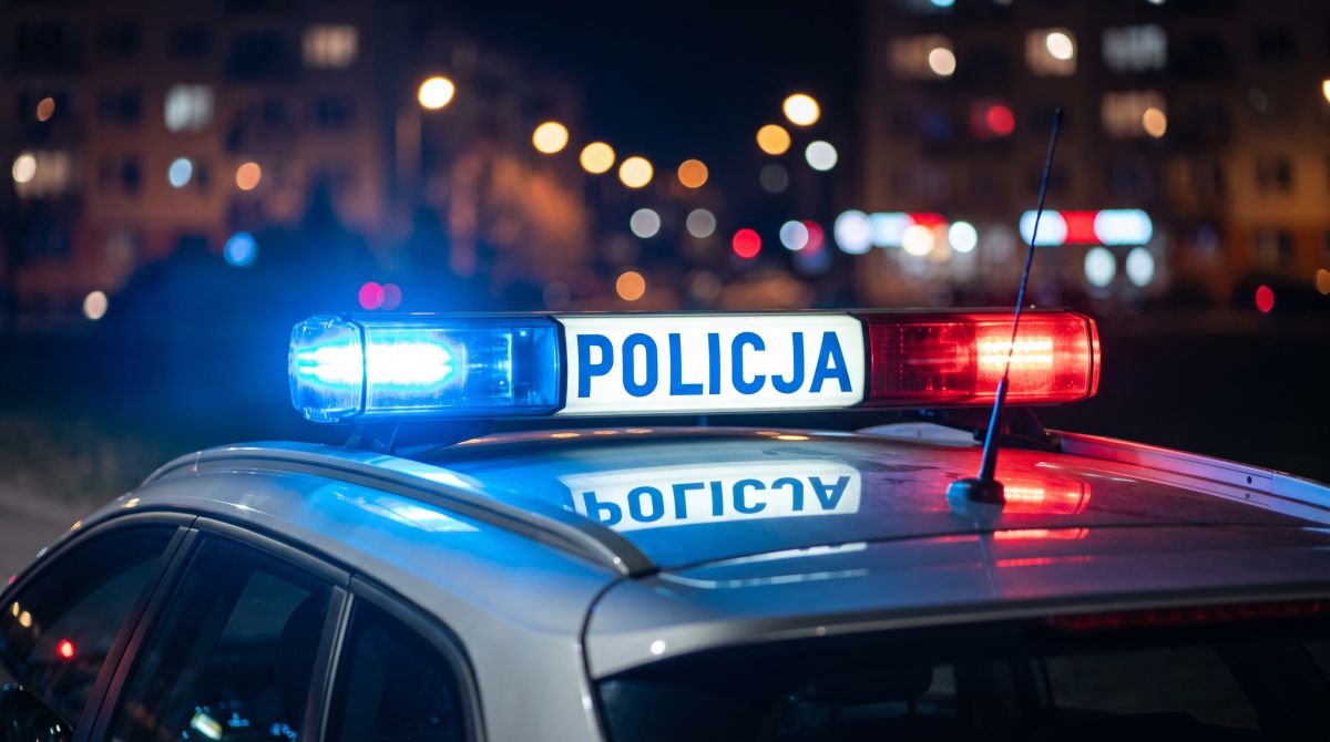 poszukiwany-na-1-5-roku-trafi---w-r--ce-pabianicki-auto-11333