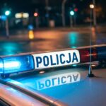 u--y---cudze-tablice-rejestracyjne-i-wykorzysta----auto-11303