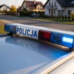 wjecha---autem-na-pole-i-ugrz--z----kierowca-bez-u-auto-11592